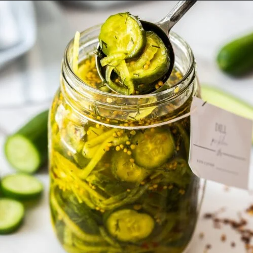 Pickled Cucumber